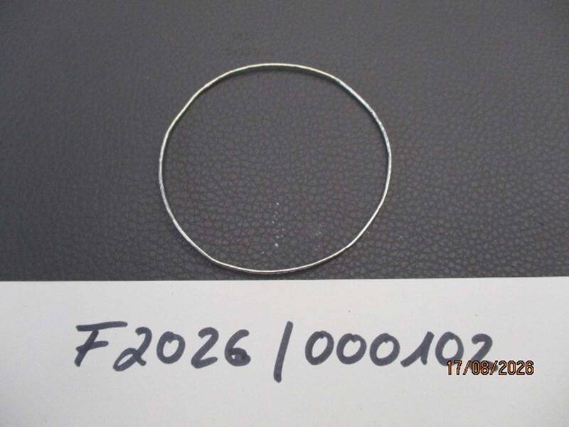 Ein silberner Armreif liegt auf einer dunklen Oberfläche, darunter ist eine Beschriftung mit der Nummer "F2026 | 000102" und dem Datum "17/08/2026" zu sehen. KI-BildBeschreiber