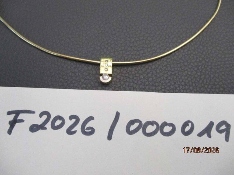 Ein feines Halsband mit einem kleinen, goldenen Anhänger mit einem Steinchen liegt über einem Blatt Papier mit der handgeschriebenen Notiz "F2026/1000019". KI-BildBeschreiber