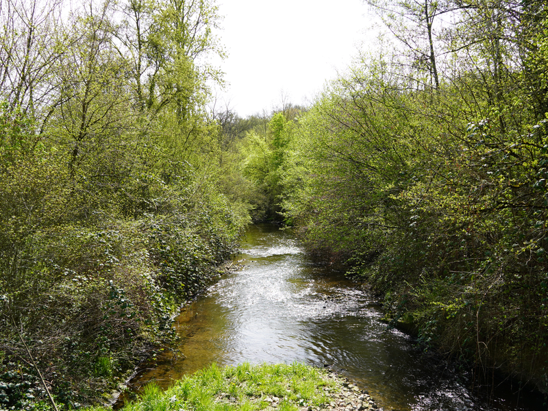 Zu sehen ist ein kleiner Fluss, umgeben von grün bewachsenen Bäumen.