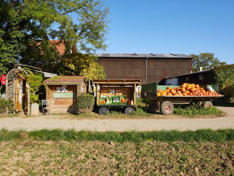Ein kleiner Hofladen mit einem Verkaufsstand voller frischem Gemüse und Obst sowie ein Anhänger beladen mit Kürbissen befinden sich vor einer Scheune auf einem sonnigen Bauernhof.