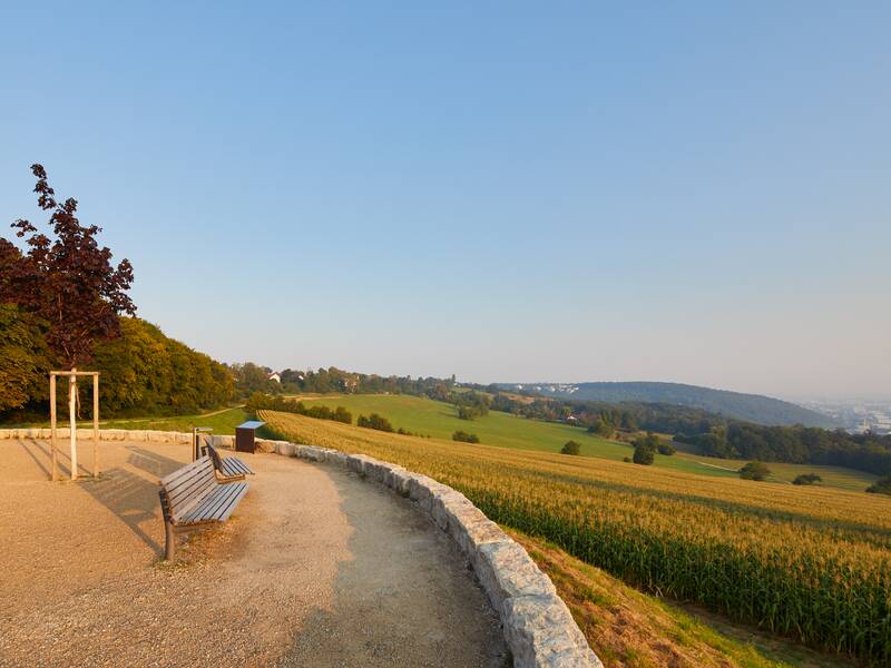 Eine gepflasterte Bank und ein Baum stehen auf der Panoramaplattform, einem Aussichtspunkt mit Blick auf Felder und Hügel unter einem klaren, blauen Himmel.