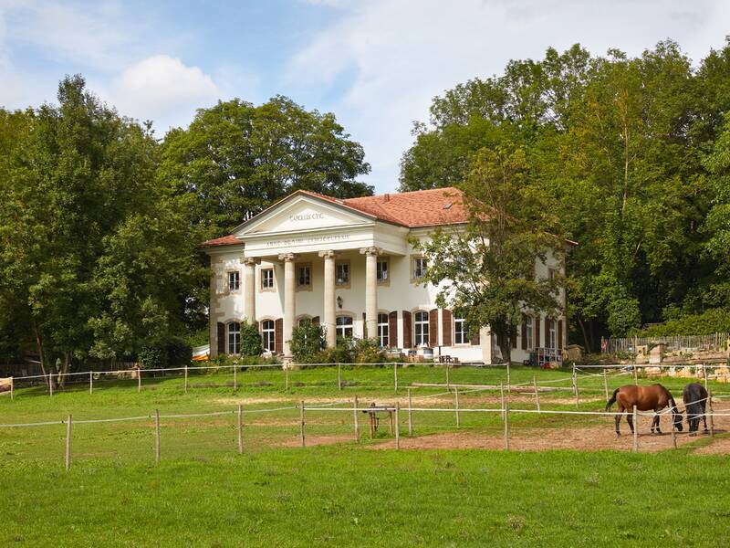 Ein elegantes, weißes Gebäude mit Säulen, das Scharnhauser Schlössle, steht vor einem Hintergrund aus großen Bäumen, mit zwei Pferden auf einer umzäunten Weide im Vordergrund.