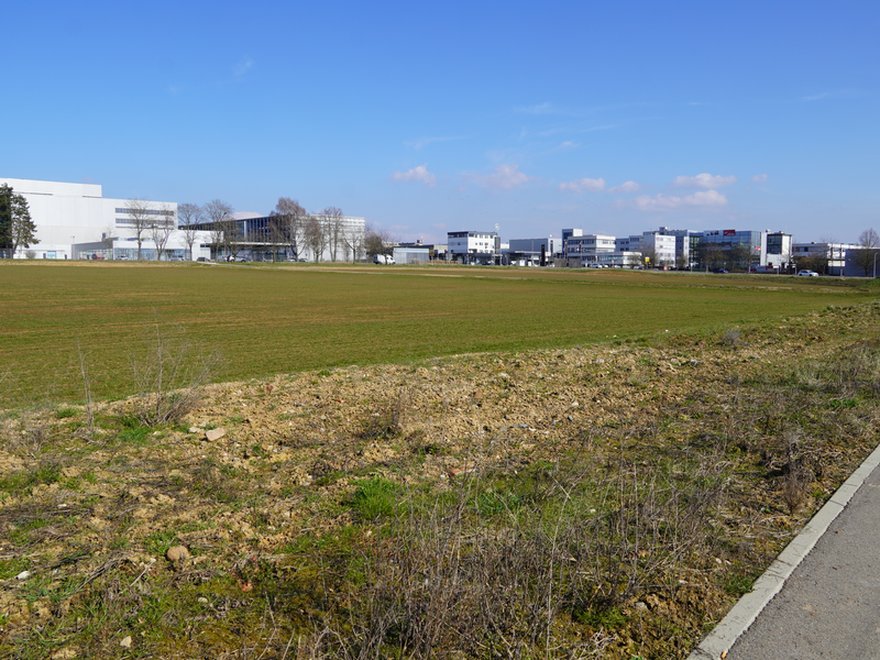 Eine weite, leere Wiese erstreckt sich vor einer Reihe von modernen Gebäuden unter einem blauen Himmel.
