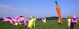 Sitz- und Flitzhasen