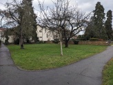 KW16_Friedhof Ruit Erweiterungsfläche_Archivfoto Scharbau