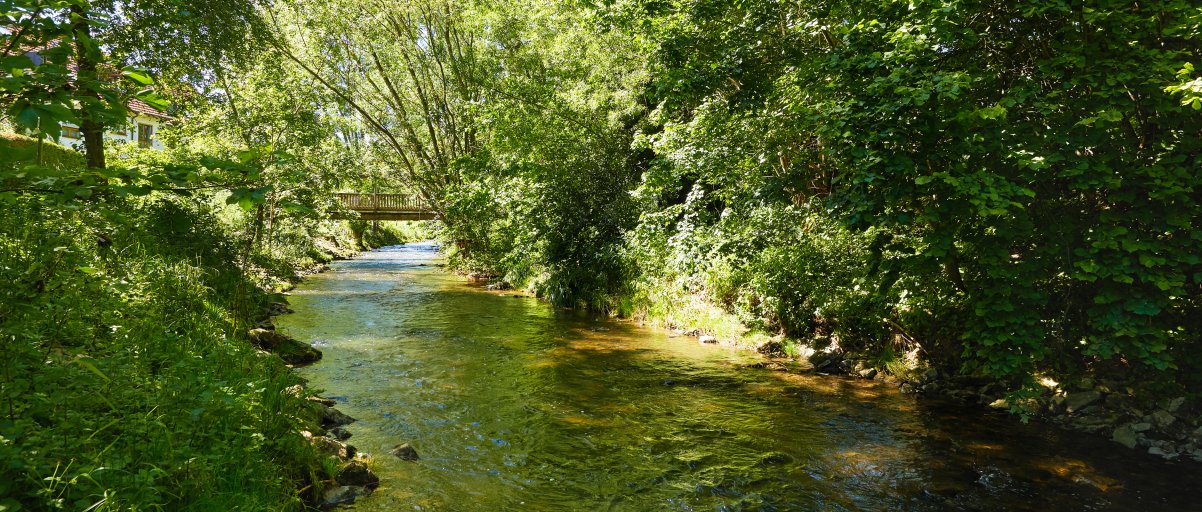 Blick auf die Körsch, die von grünen Sträuchern und Bäumen umgeben ist. Im Hintergrund ist eine kleine Brücke zu erkennen.