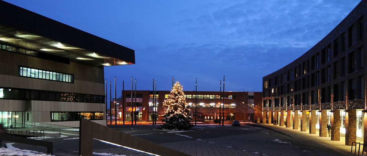 Blick auf den Weihnachtsbaum zwischen dem Stadthaus und einem Gebäude