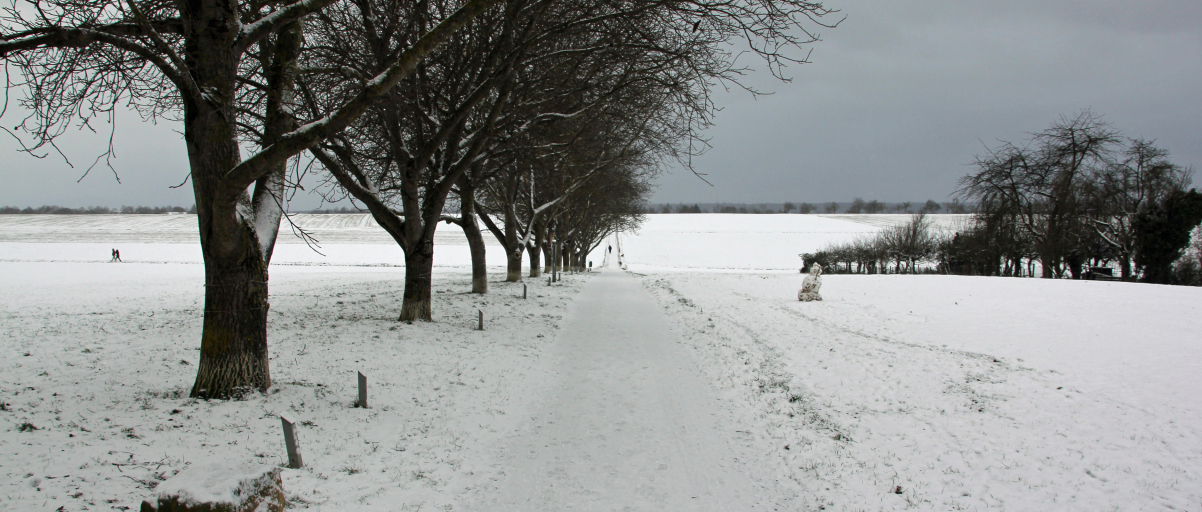 Blick auf einen verschneiten Feldweg und verschneite Felder.